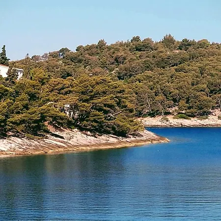 Mira * 斯普利特卡