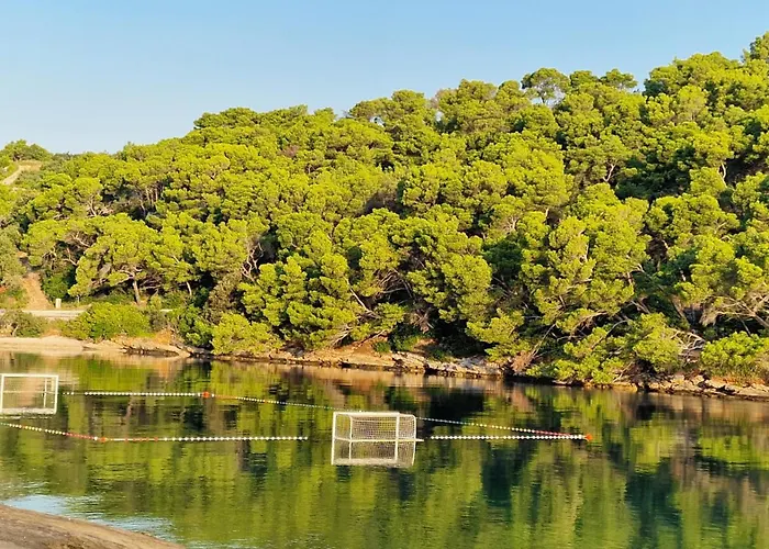 Mira 스프리트스카